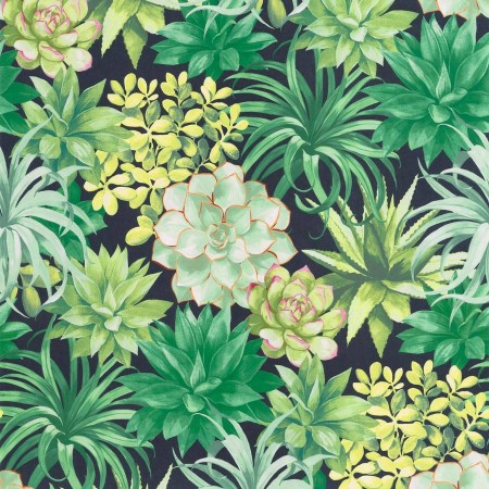 Picture of Botanica Echeveria Vert Jungle - BOTA85917396