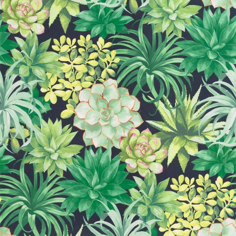 Picture of Botanica Echeveria Vert Jungle - BOTA85917396