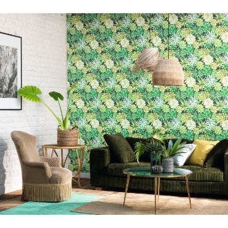 Afbeeldingen van Botanica Echeveria Vert Jungle - BOTA85917396