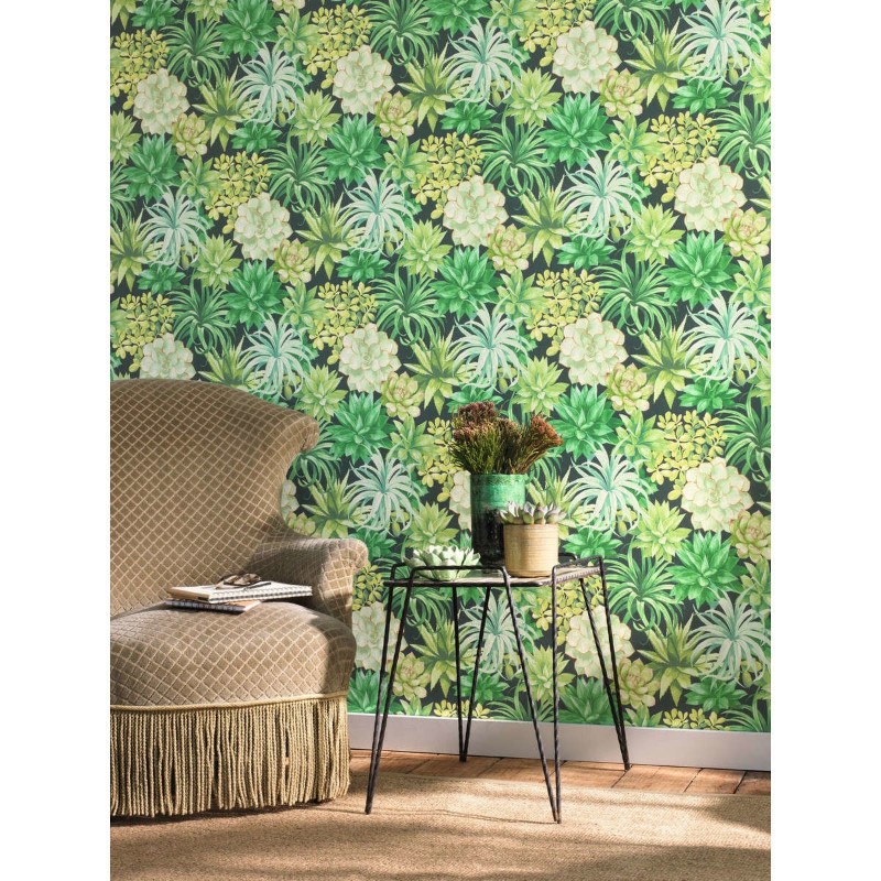 Picture of Botanica Echeveria Vert Jungle - BOTA85917396