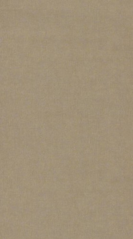 Picture of Nuances Sloane Square Kaki Clair - NUAN81927255