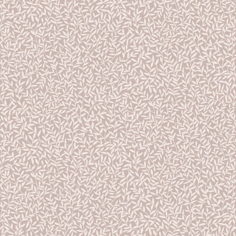 Image de Oxford Abigail Rose - OXFD84124303