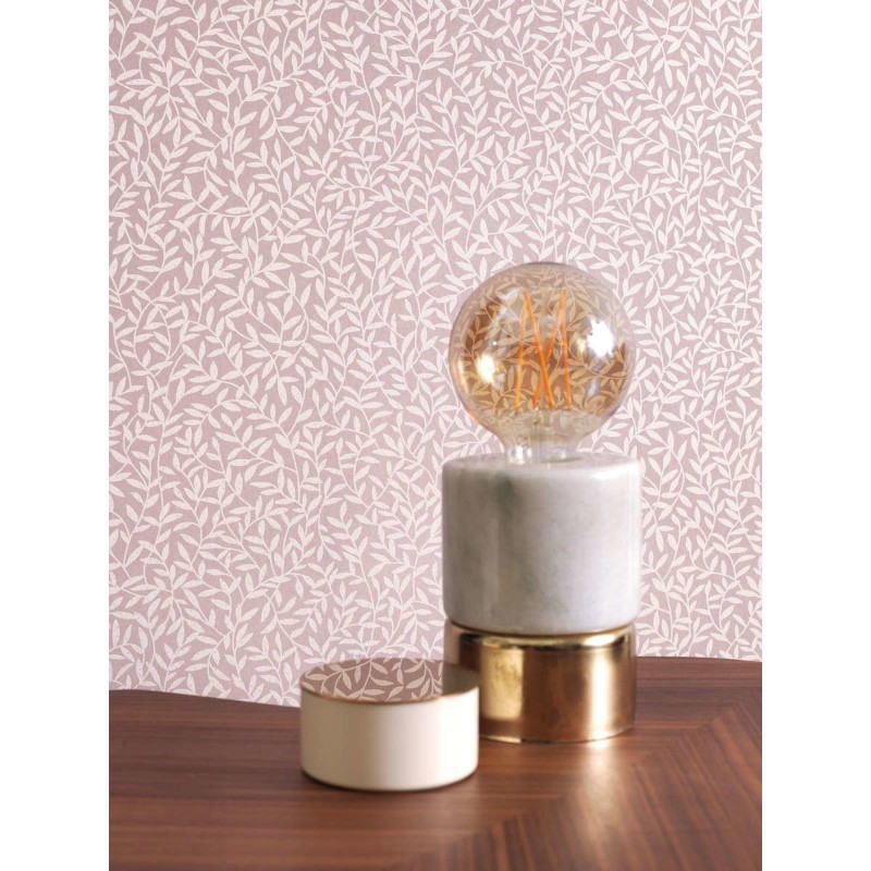 Image de Oxford Abigail Rose - OXFD84124303