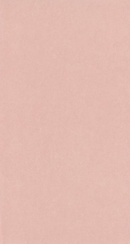 Picture of Oxford Kiosque Nude - OXFD82384130