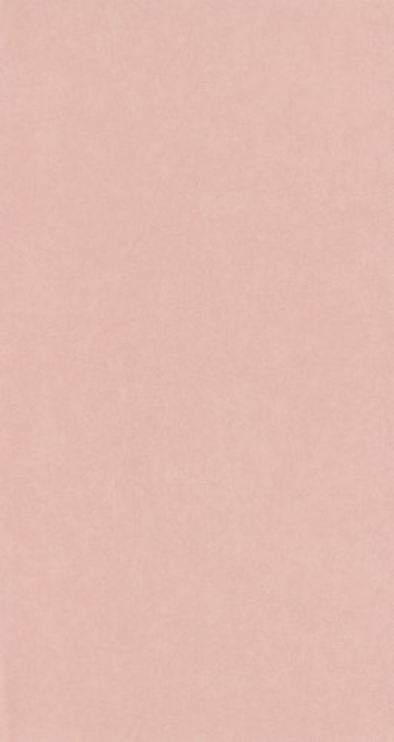 Picture of Oxford Kiosque Nude - OXFD82384130