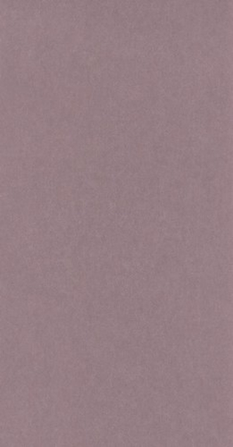 Bild på Oxford Lewis Rose - OXFD84074339