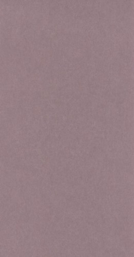 Picture of Oxford Lewis Rose - OXFD84074339