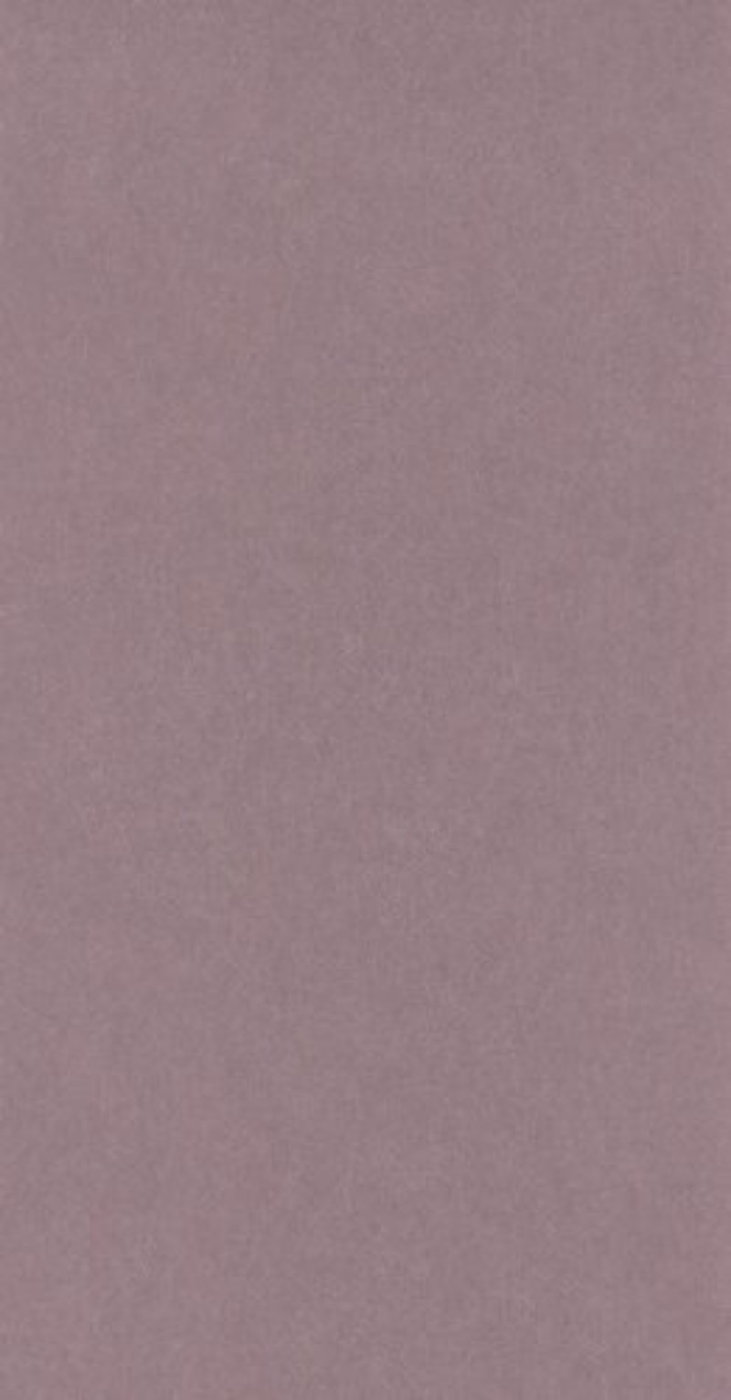 Afbeeldingen van Oxford Lewis Rose - OXFD84074339