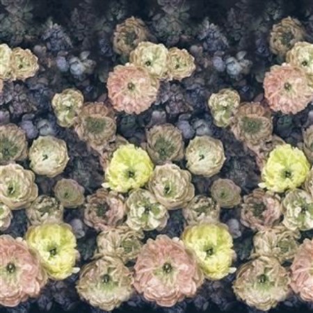 Picture of LE POEME DE FLEURS MIDNIGHT - PDG1107/02-OUTLET