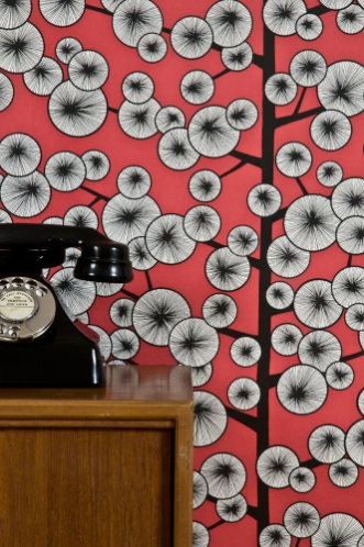 Bild på Cotton Tree Snapdragon Red - MISP1373