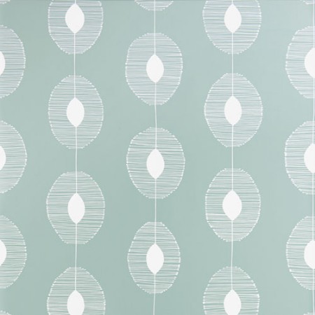 Picture of Dewsrops Eucalyptus - MISP1359