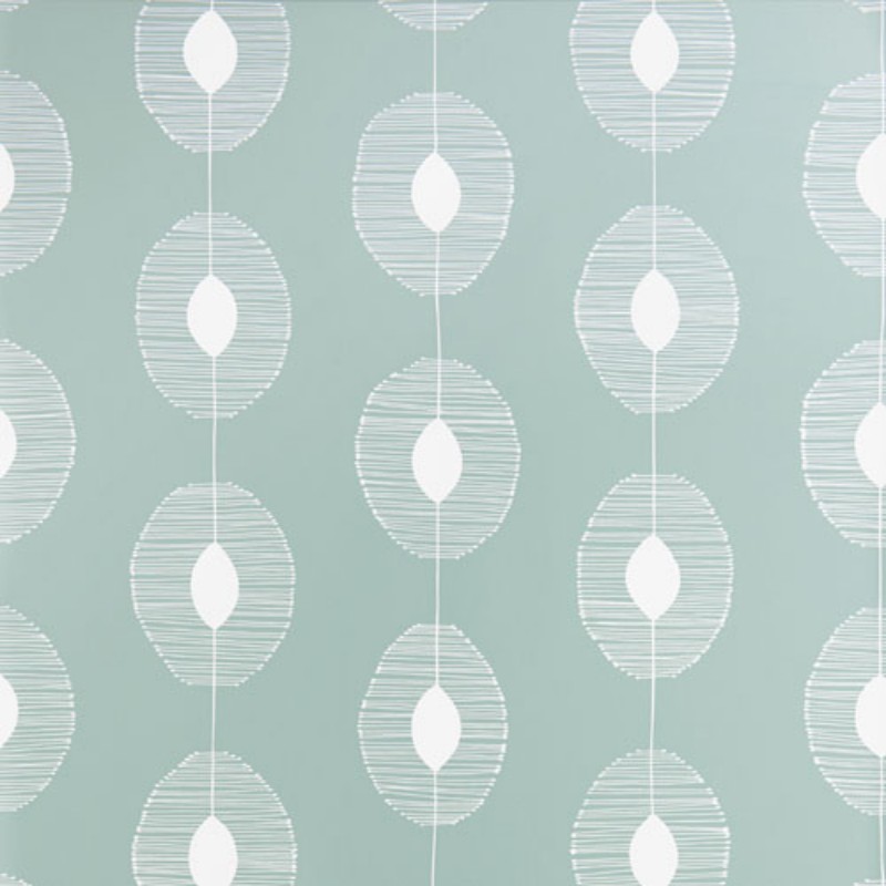 Picture of Dewsrops Eucalyptus - MISP1359