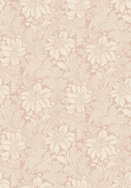 Picture of Acanthus - 2009