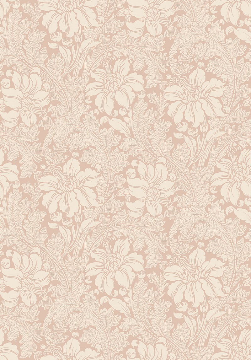 Image de Acanthus - 2009