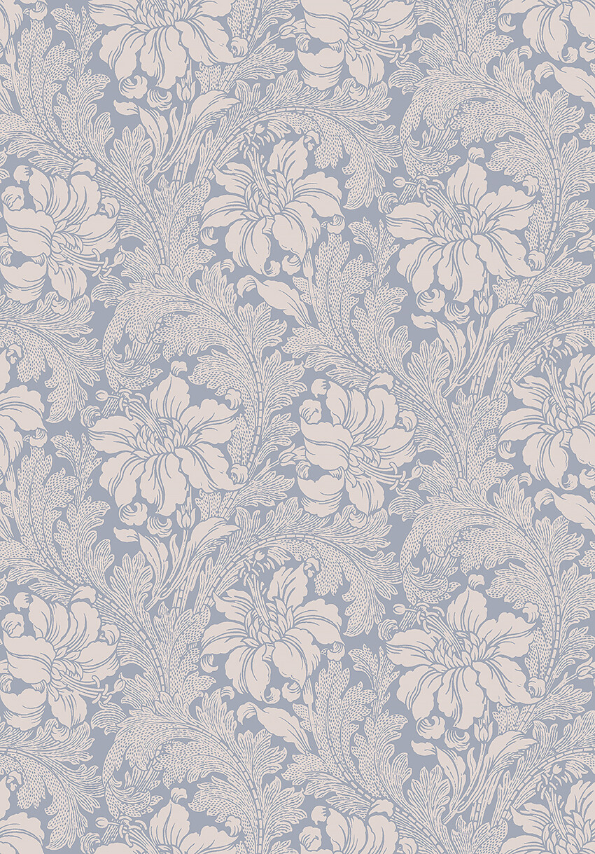 Picture of Acanthus - 2010