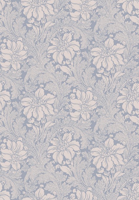 Picture of Acanthus - 2010