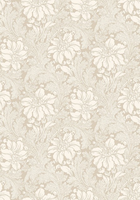 Picture of Acanthus - 2011