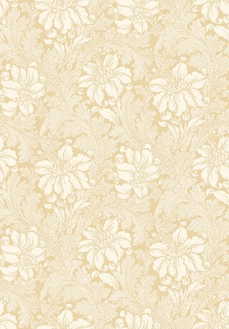 Image de Acanthus - 2012