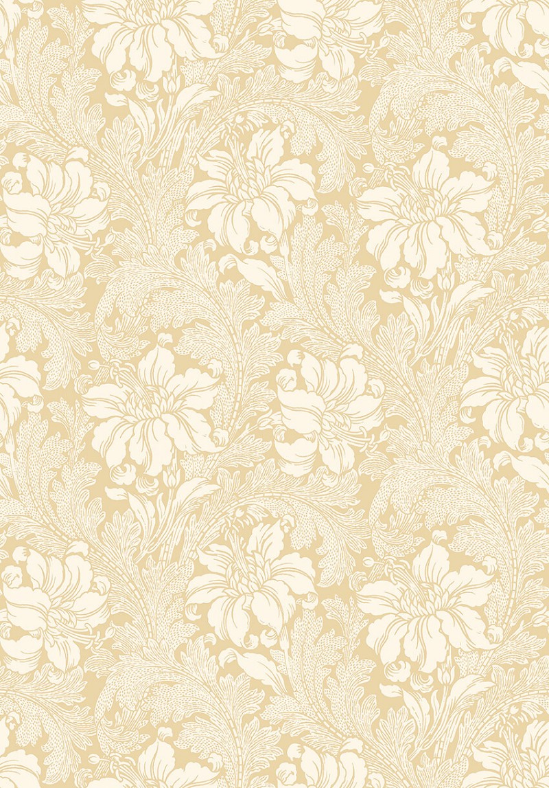 Afbeeldingen van Acanthus - 2012