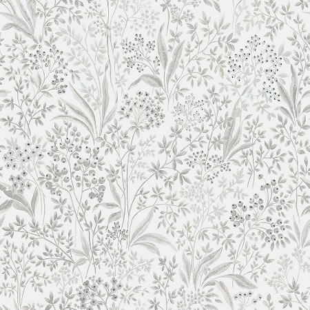 Image de Nocturne - 2023