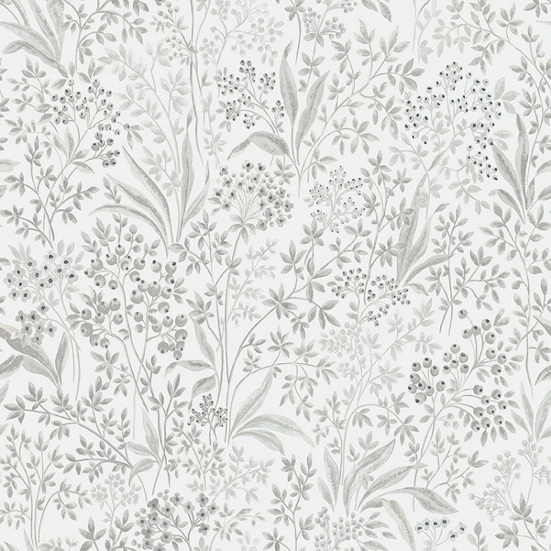 Image de Nocturne - 2023