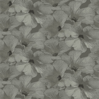 Bild på Annuell - 11004-OUTLET