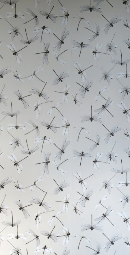 Picture of Dragonfly Natural - WP2166-OUTLET