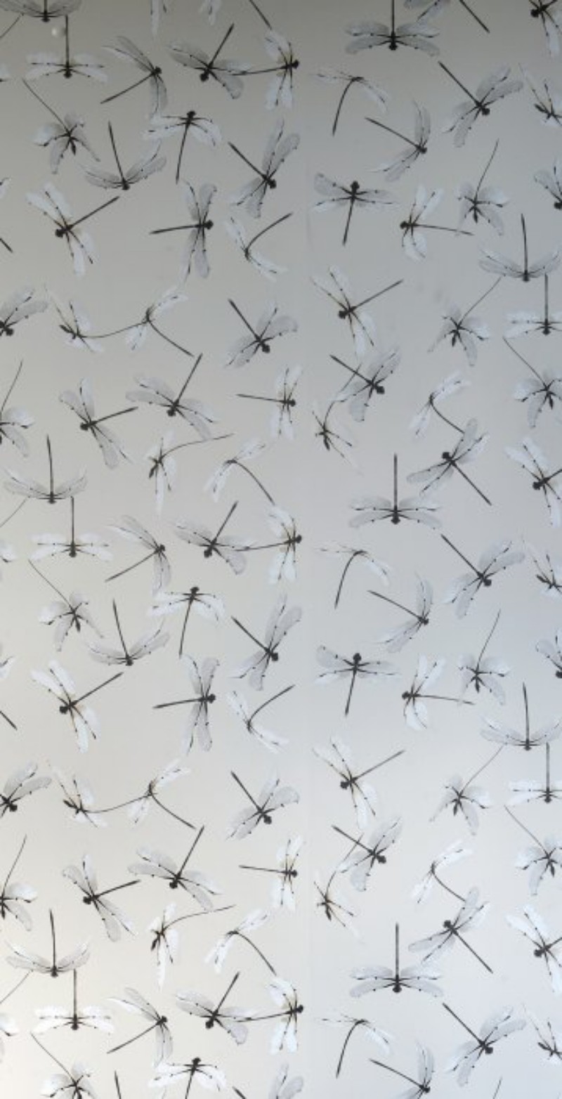 Picture of Dragonfly Natural - WP2166-OUTLET