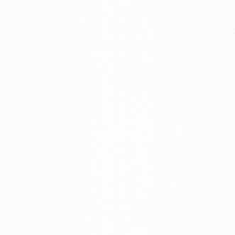 Picture of Nature - botanical inspiration - 2808-OUTLET