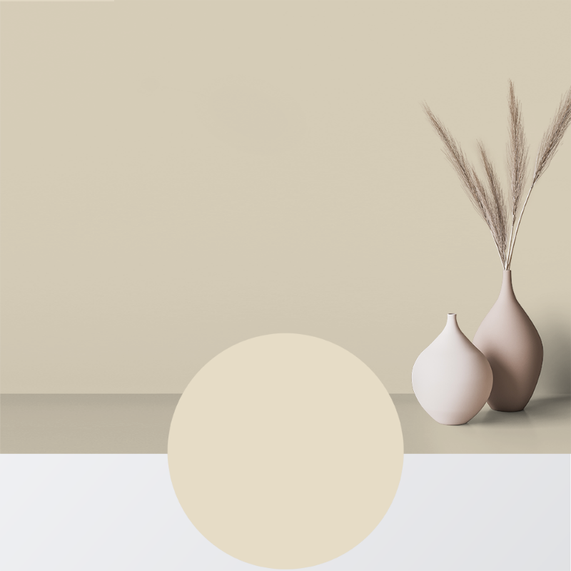 Picture of Paint - Colour W16 Råg