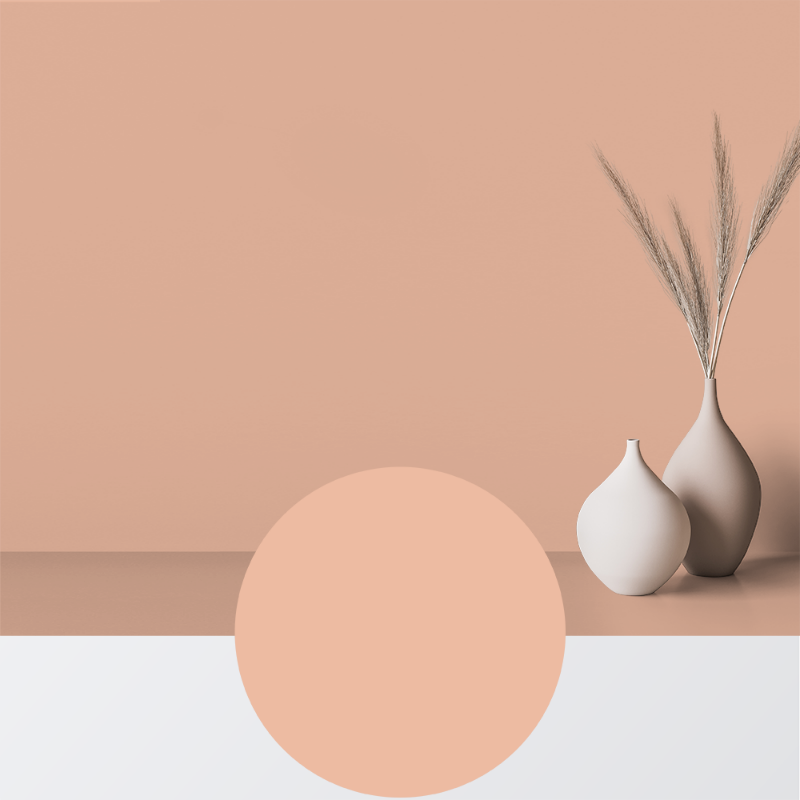 Picture of Maling - Farve W20 Aprikos