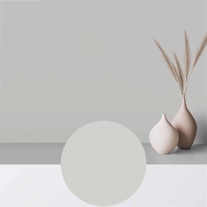 Image de Peinture - Couleur W21 Snöstorm