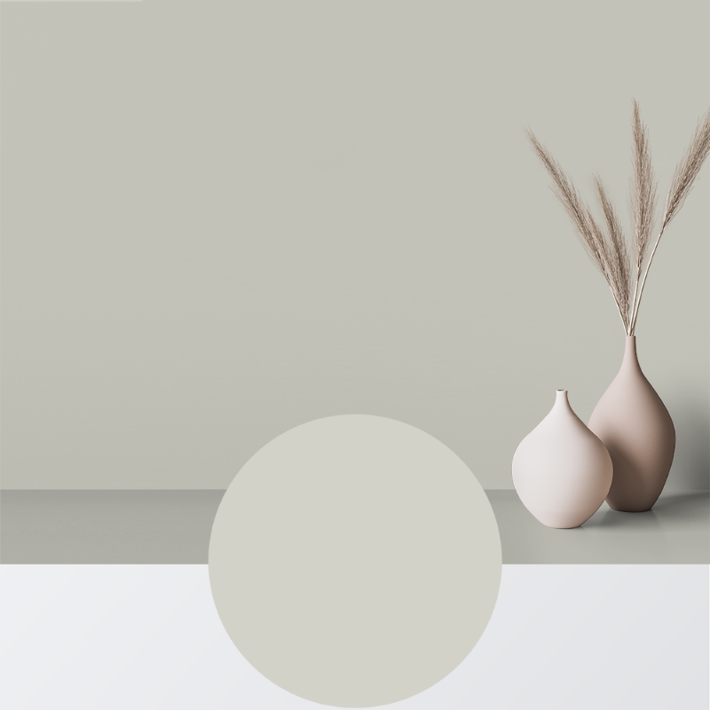 Picture of Paint - Colour W22 Gråvinge