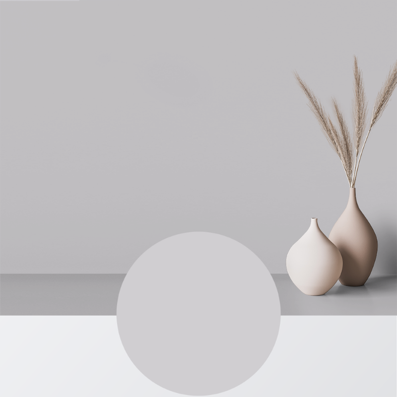 Image de Peinture - Couleur W28 Regnmoln