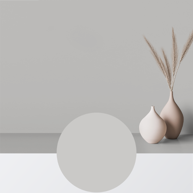 Picture of Paint - Colour W31 Silver