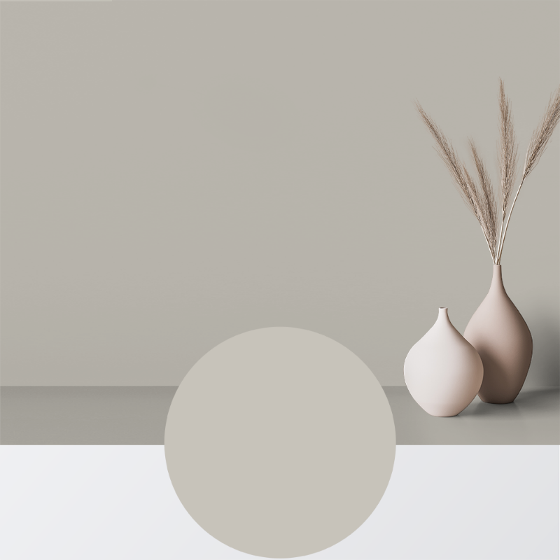 Image de Peinture - Couleur W37 Ostron