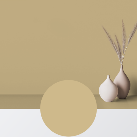 Picture of Målarfärg - Kulör W50 Videknopp