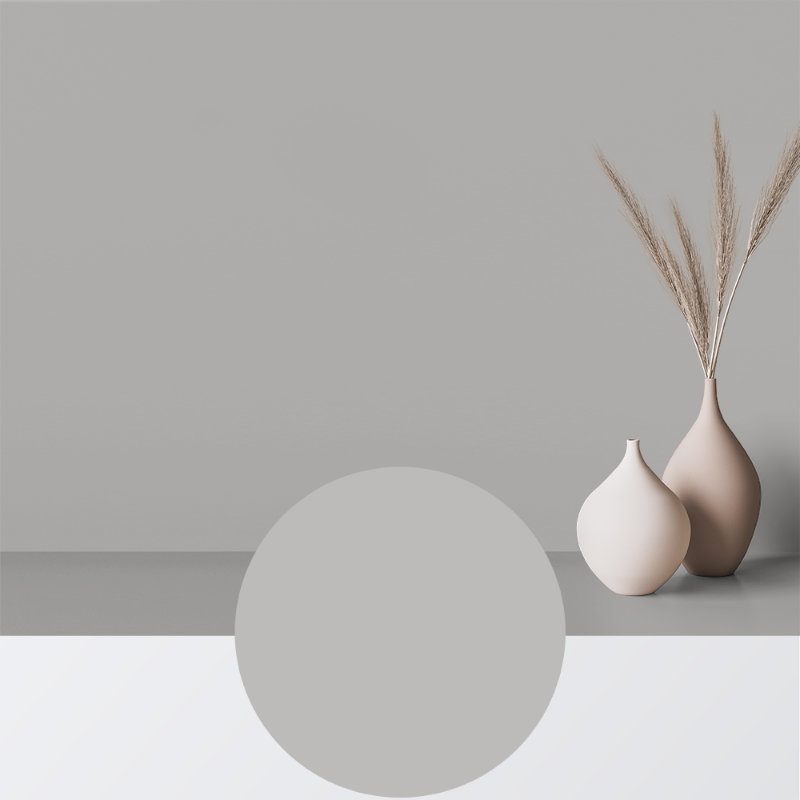 Picture of Paint - Colour W54 Dimma