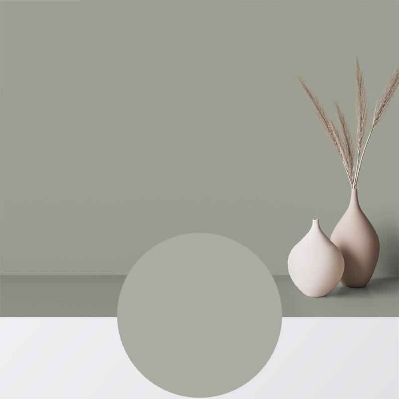 Image de Peinture - Couleur W61 Pistage