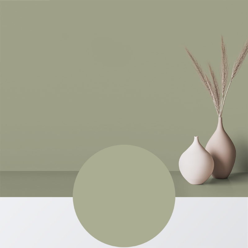 Afbeeldingen van Verf - Kleur W67 Nygräs