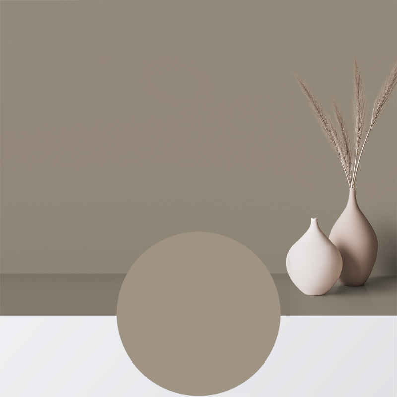 Afbeeldingen van Verf - Kleur W78 Blek bark