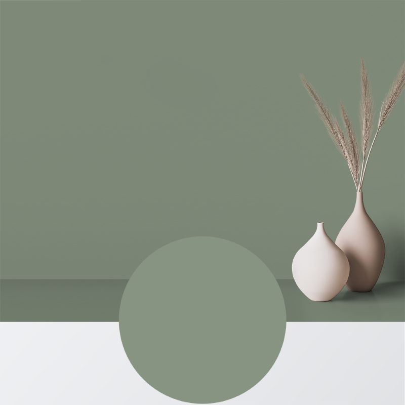 Image de Peinture - Couleur W79 Tulpanblad