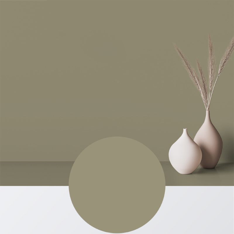 Picture of Paint - Colour W81 Vårskog