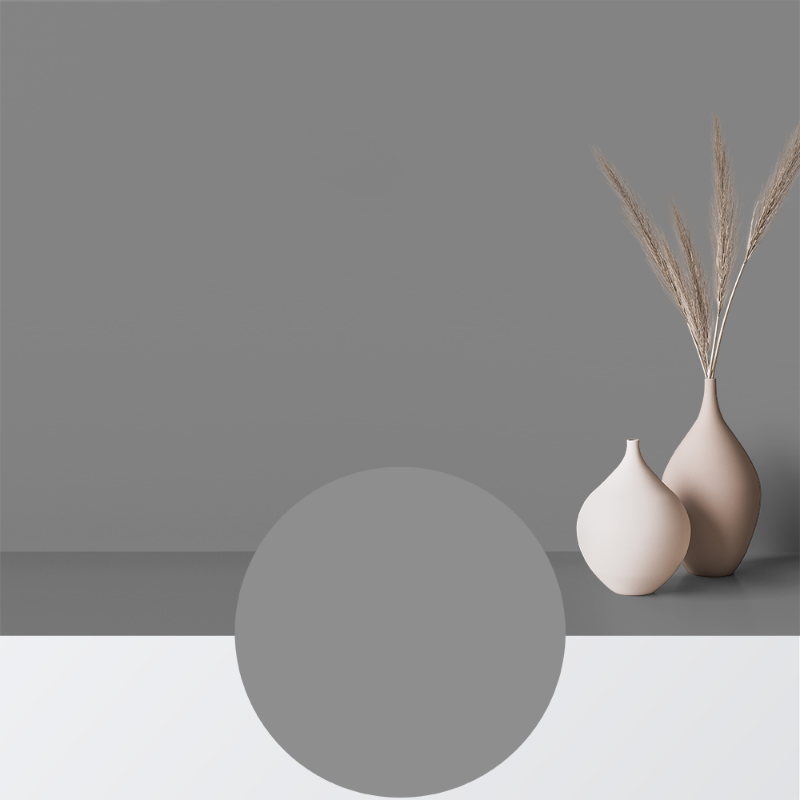 Picture of Paint - Colour W85 Säl