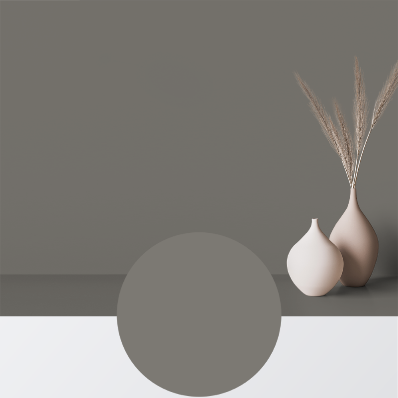 Image de Peinture - Couleur W98 Grålera