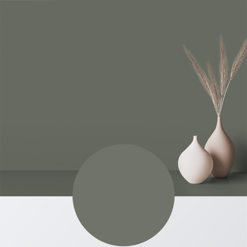 Image de Peinture - Couleur W101 Vårskugga