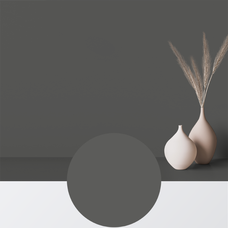 Picture of Paint - Colour W106 Antracit