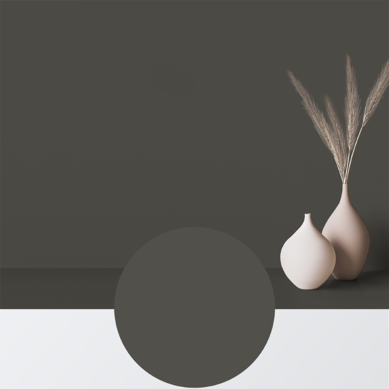 Picture of Paint - Colour W108 Lakrits