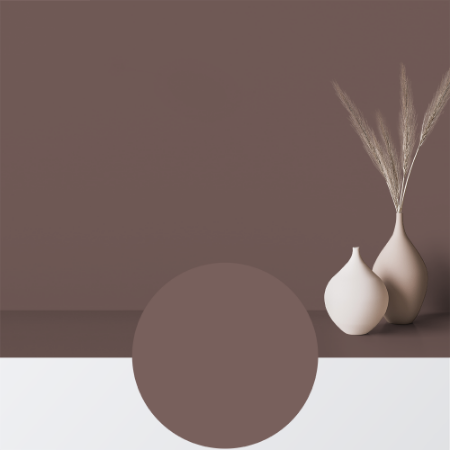 Image de Peinture - Couleur W111 Rödkål