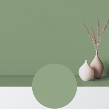 Image de Peinture - Couleur W112 Björkris